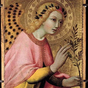 The Angel of the Altarpiece Annunciation by Sano di Pietro (1406-1481). 1450-1481