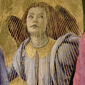 Angel, from the Coronation of the Virgin, c. 1488-90 (tempera on panel