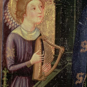 Angel playing a Harp (detail from an Altarpiece of the Virgin of the Aballa Conca)