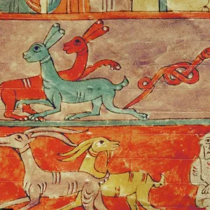 Animals inside the Ark