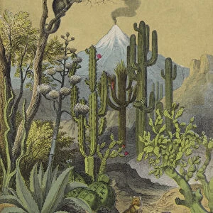 Animals and plants of Mexico (colour litho)