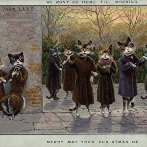 Anthropomorphic cats on Park Lane, London (chromolitho)
