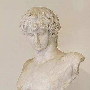 Antinous, Ludovisi collection (carrara marble)