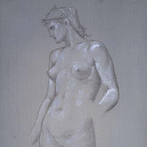 Antonia, 1877 (Silverpoint and bodycolour on grey prepared ground)