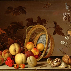 Apples, cherries, grapes, plums and a vase of flowers