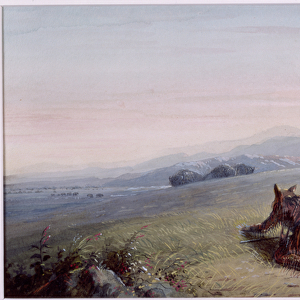 Approaching Buffalo, 1837 (w / c on paper)