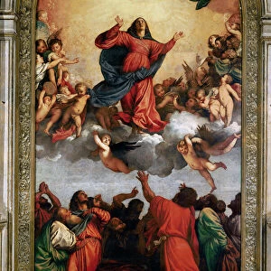 The Assumption of the Virgin, 1516-18 (oil on canvas)