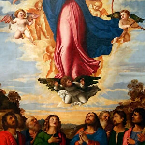 The Assumption of the Virgin, by Palma il Vecchio Serina 1513 (painting)