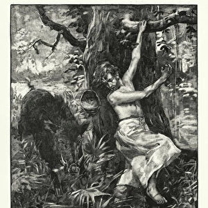Attacked by the wild boar (engraving)