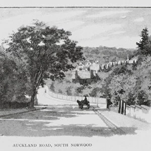 Auckland Road, South Norwood (litho)