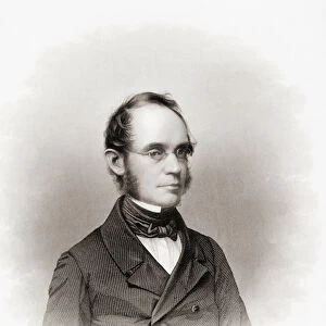Augustus Schell. Portrait