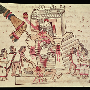 Schools Collection: Aztec