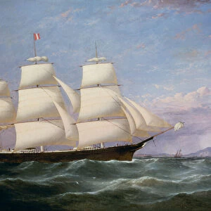 The Baltimore Clippership Carrier Dove, 1856 (oil on canvas)