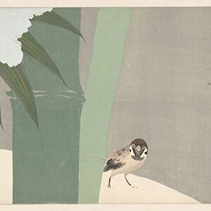 Bamboo in the snow, 1909 (woodblock print)