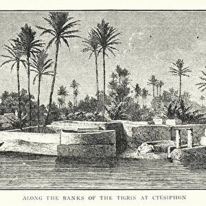 Along the banks of the Tigris at Ctesiphon (litho)
