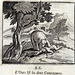 The Bear and the Two Companions. Fables by Jean de La Fontaine (1621-95)