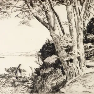 The Beech Tree, 1940 (etching) The Beech Tree, 1940 (etching)