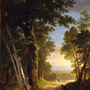 The Beeches, 1845 (oil on canvas)