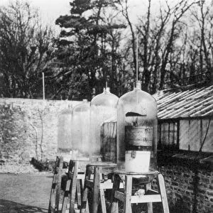 Bell jars used to study atmospheric nitrogen under the influence of electricity at