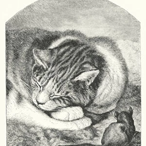 Beware of a Sleeping Pussie (engraving)