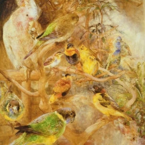 Bird Aviary, 1871 (oil on board)