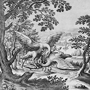 Birds fighting from Musaeum Hermeticum, 1678 (engraving)