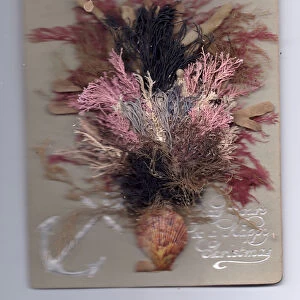 A birthday card of a floral arrangement made out of seaweed and a shell