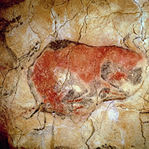 Bison from the Altamira Caves, Upper Paleolithic, c. 15000-8000 BC (cave painting)