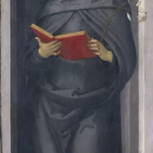 The Blessed Philip Benitius, c. 1505-6 (tempera on poplar wood)