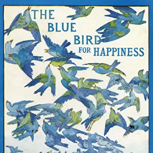 The Blue Bird for Happiness