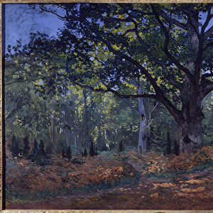 Bodmers Oak Painting by Claude Monet (1840-1926) 1865 Dim. 1. 27 x 0. 94 m. New York