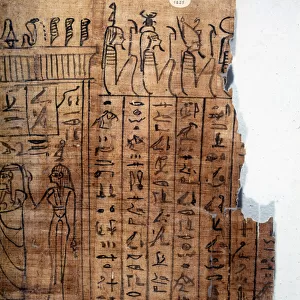 The Book of the Dead: Egyptian hieroglyph on a papyrus of the 22nd dynasty. Detail