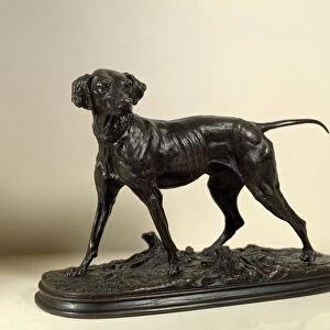 Braque, hunting dog Bronze sculpture by Pierre Jules Mene (1810-1879