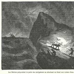 Breton wreckers attempting to lure a ship onto the rocks by attaching a lantern to the horns of a cow (engraving)
