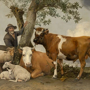 The Bull, 1647 (oil on canvas)