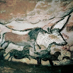 Bull, with Deer and Horse, Upper Paleolithic, from the Cave of Lascaux, France, c. 17. 000-15. 000 BC (painting)