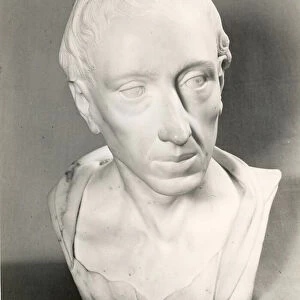 Bust of Alexander Pope (marble)