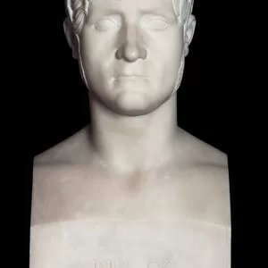 Bust of Felix Baciocchi (marble)