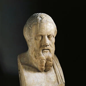 Bust of Herodotus, 4th century BC (Marble sculpture)