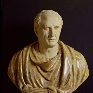 Bust of Marcus Tullius Cicero (106-43 BC) (marble & stone)