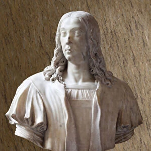 Bust of Raffaello Sanzio, dit Raphael (marble)