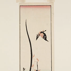 Katsushika II (fl.1820-50) Taito