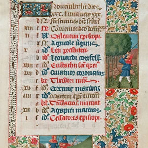 Calendar depitcing November, Acorns and Herds of Pigs (vellum)