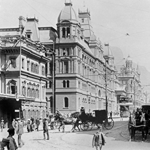 Cape Town: New Adderley Street, c. 1914 ( b / w photo)