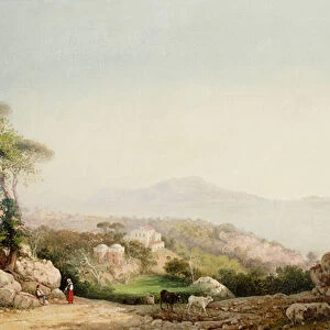 Capri from Massa Lubrense, 1870 (oil on canvas)