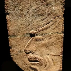 A captive