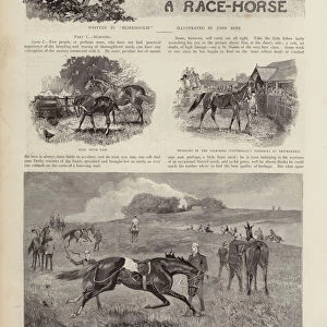 The career of a racehorse (litho)