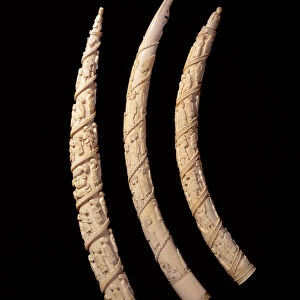 Carved Tusks, Congo (ivory)