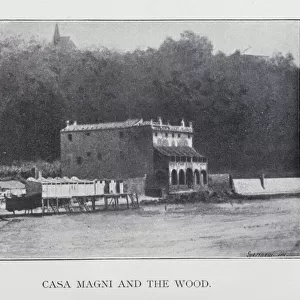 Casa Magni and the Wood (b / w photo)