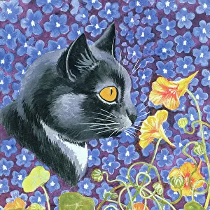 A Cat in a Sea of Flowers